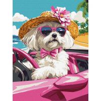 Картина за номерами Рожева машина, 30х40 см Ідейка KHO6738