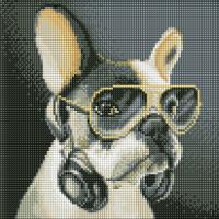 Алмазна мозаїка без підрамника Пухнастий діджей 30х30 см Ідейка AMC7725