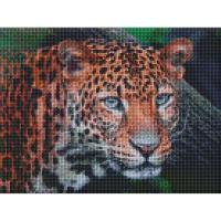 Алмазна мозаїка Дикий погляд 30х40см Ідейка AMO7203