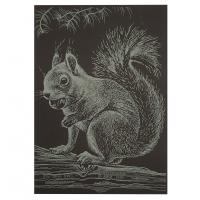 Гравюра А5 "Білочка" ГрА5з-13 економ варіант у пакеті 21 х 14,8 см