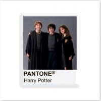 3D стікер Pantone Potter 2 (ціна за 1 стікер) Tattooshka SX-264