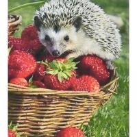 Алмазна мозаїка Їжачок та полуниця 30х40 см Strateg HEG86093