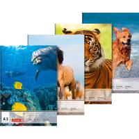 Альбом-склейка для малювання А3, 10 аркушів MiC 1047903