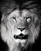 Картина за номерами. Art Craft "Big Boss" 40 * 50 см 11611-AC