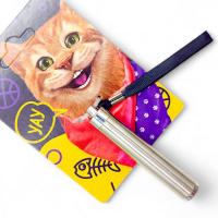 Лазерна указка-ліхтарик, (для тварин) MIC FG221228007G