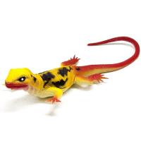 Ящірка-пищалка Геккон (жовта) MIC D917/6