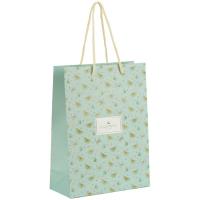 Пакет паперовий подарунковий, 18х24см, TR, Morning Dew 2 Axent 8501-40-A-TR