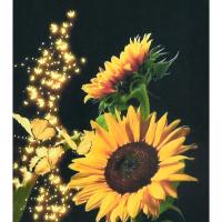 Алмазна мозаїка Прекрасні соняхи 40х50 см Strateg SK88222