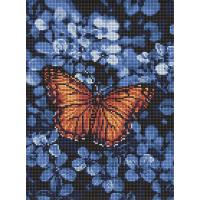 Алмазна мозаїка "Світло серед темряви" AMO8292, 30х40 см