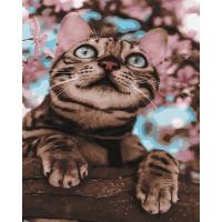 Картина за номерами Пухнастий бешкетник  Rainbow Art GX45061