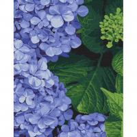 Картина по номерах Яскрава гортензія 40х50 см Linera LR-00009