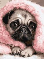 Картина за номерами - Закутаний мопс 30х40 см. Ideyka KHO6839