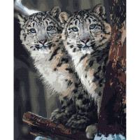 Картина за номерами Приховане спостореження Ідейка KHO4311