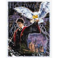 Картина по номерах WB Harry Potter: Атмосфера магії 40х50 см Ідейка KHO5263