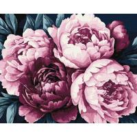 Картина по номерах Ніжні пелюстки 40х50 см Ідейка KHO3306