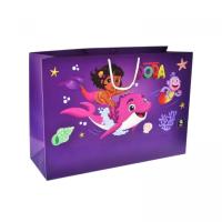 Пакет паперовий XL Дора мандрівниця р.50x35x17 см qbee QB004-302