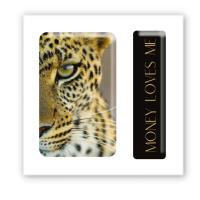 3D стікер Money lover (ціна за 1 шт) Tattooshka SX-153