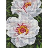 Алмазна мозаїка Білі півонії 30х40 см Ідейка AMO7753