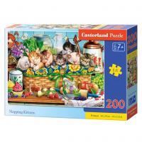 Пазли Дрімаючі кошенята, 200 елементів Castorland B-222278