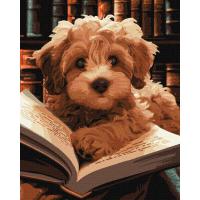 Картина за номерами Пухнастий читач 40х50 см Ідейка KHO6587