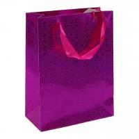 Пакет подарунковий (23,5х8,5х18 см.), малиновий MIC M48861