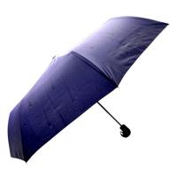 ПАРАСОЛЬКА НАПІВАВТОМАТ 31 см. (ФІОЛЕТОВА) MIC 23-029/0