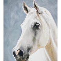 Алмазна мозаїка "Сила природи" SK88246 40х50 см