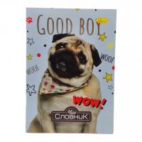 Зошит-словник з іноземних мов, good boy Апельсин АП-0502