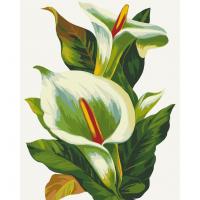 Картина по номерах Білі квіти 40х50 см Art Craft 13128-AC