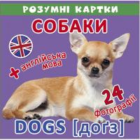 Розумні картки. Собаки MiC F00020495