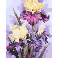 Картина по номерах Розкішні іриси 40х50 см Origami LW32040