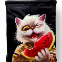 Рюкзак-мішок Котик ЗСУ, 42х35,5 см MIC 420-10ЛК