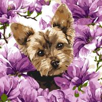 КАРТИНА ПО НОМЕРАХ ЙОРК В МАГНОЛІЇ 40Х40 СМ Ідейка KHO6796