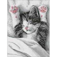 Алмазна мозаїка "Муркотливий ранок" ©art_selena_ua AMO20204, 30х40 см