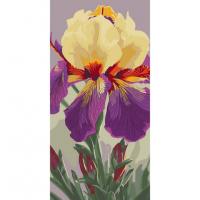 Картина за номерами "Ірис Карнівал Каперс" 13095-AC 40х80 см