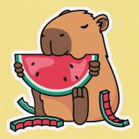 Картина за номерами "Капібара і Херсонський кавун" ©art_selena_ua KHO6749, 40х40 см