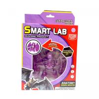 Набір для дослідів  Анатомія тварин, Кажан MIC 804B