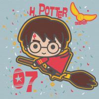 Картина за номерами "Harry Potter: Політ на мітлі" KHO1364, 25x25 см