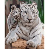 Картина за номерами Білі тигри Оптифрост 0007