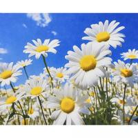 Алмазна мозаїка Сонячні пелюстки 30х40 см Strateg HEG88144