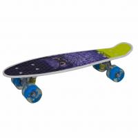 Пенні Борд з світяться колесами Сова MiC S29661