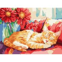 Картина по номерах Денний сон 30х40 см Ідейка KHO6709