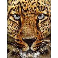 Алмазна мозаїка, на рейках Гепард 30х40 см Strateg JSDF79613