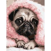 Картина за номерами "Закутаний мопс" ©art_selena_ua KHO6839, 30х40 см