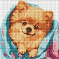 Алмазна мозаїка Щасливий шпіц 30х30 см Ідейка AMO7781
