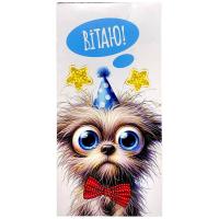 Конверт вітальний (для грошей) 16.5х9х0,5 см FIESTA КВ 25-184