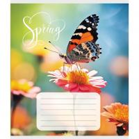 Зошит учнівський "Метелик весною" 018-530216K-3 в клітинку, 18 аркушів