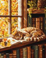 Картина за номерами - Кіт та книга ©art_selena_ua Ideyka KHO6978