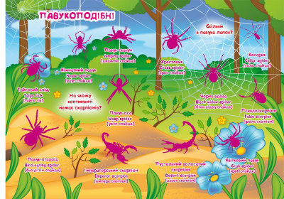 Велика книга Розвиваючі наклейки. Розумні завдання. Комахи і павукоподібні (укр) Crystal Book F00021860