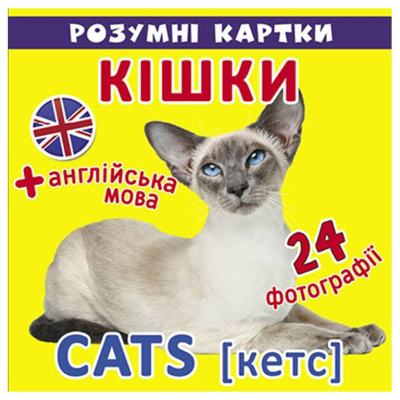 Розумні картки. Кішки MiC F00020496